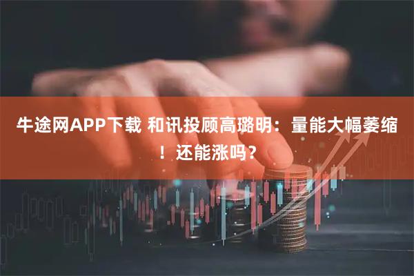 牛途网APP下载 和讯投顾高璐明：量能大幅萎缩！还能涨吗？