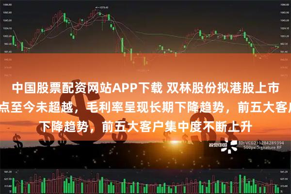 中国股票配资网站APP下载 双林股份拟港股上市：2018年营收高点至今未超越，毛利率呈现长期下降趋势，前五大客户集中度不断上升