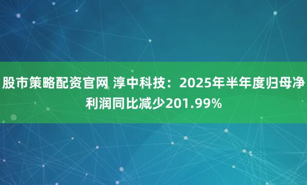 股市策略配资官网 淳中科技：2025年半年度归母净利润同比减少201.99%