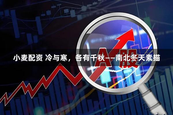 小麦配资 冷与寒，各有千秋——南北冬天素描