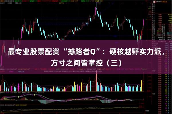 最专业股票配资 “撼路者Q”：硬核越野实力派，方寸之间皆掌控（三）