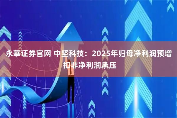 永華证券官网 中坚科技：2025年归母净利润预增 扣非净利润承压