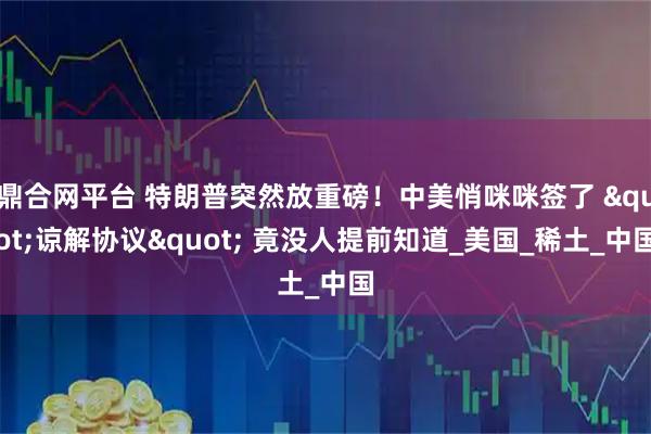 鼎合网平台 特朗普突然放重磅！中美悄咪咪签了 "谅解协议" 竟没人提前知道_美国_稀土_中国