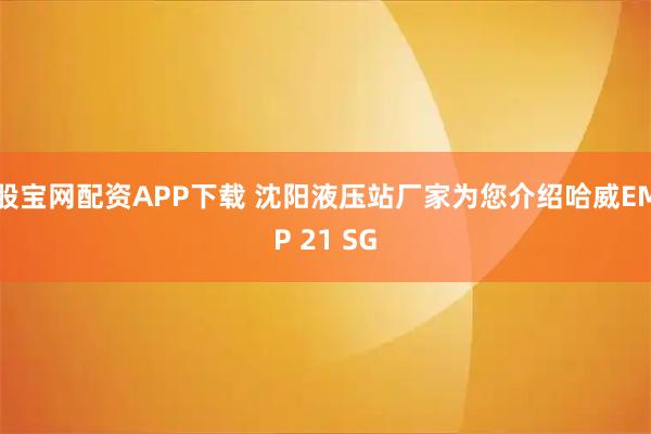 股宝网配资APP下载 沈阳液压站厂家为您介绍哈威EMP 21 SG