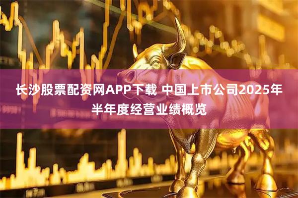 长沙股票配资网APP下载 中国上市公司2025年半年度经营业绩概览